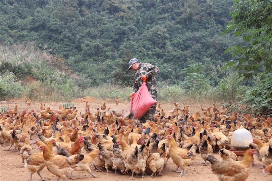 中国·88858cc永利(股份)官方网站