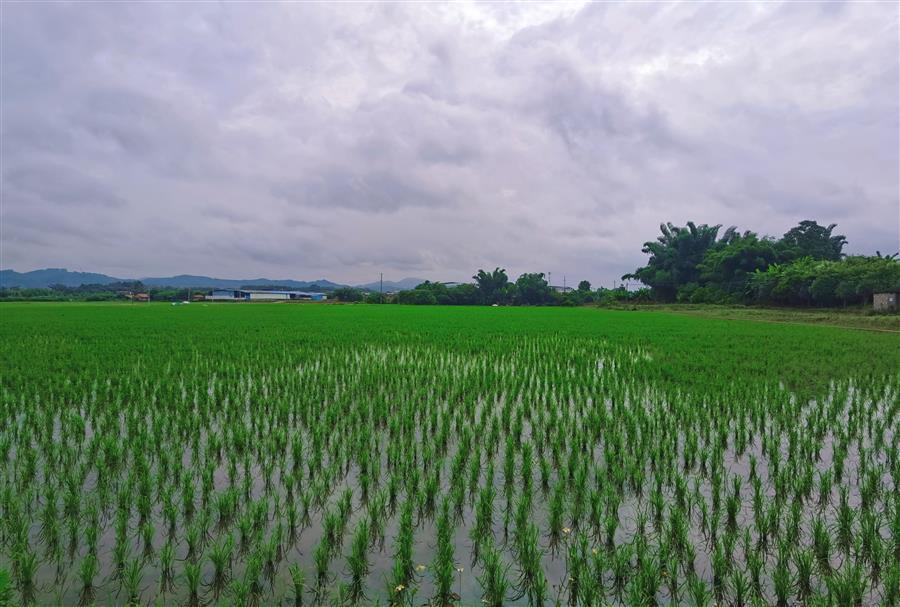 中国·88858cc永利(股份)官方网站