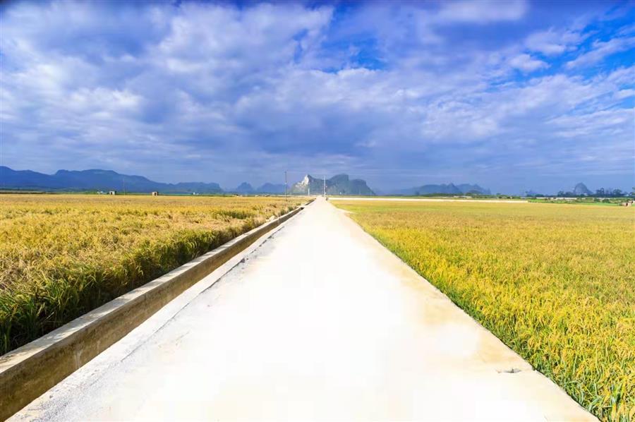 中国·88858cc永利(股份)官方网站