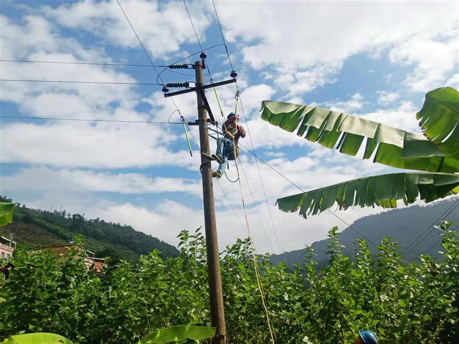 中国·88858cc永利(股份)官方网站