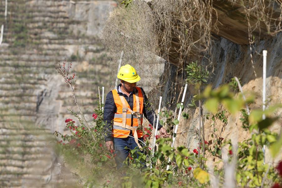 中国·88858cc永利(股份)官方网站