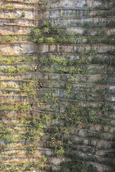 中国·88858cc永利(股份)官方网站