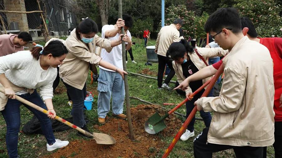 中国·88858cc永利(股份)官方网站