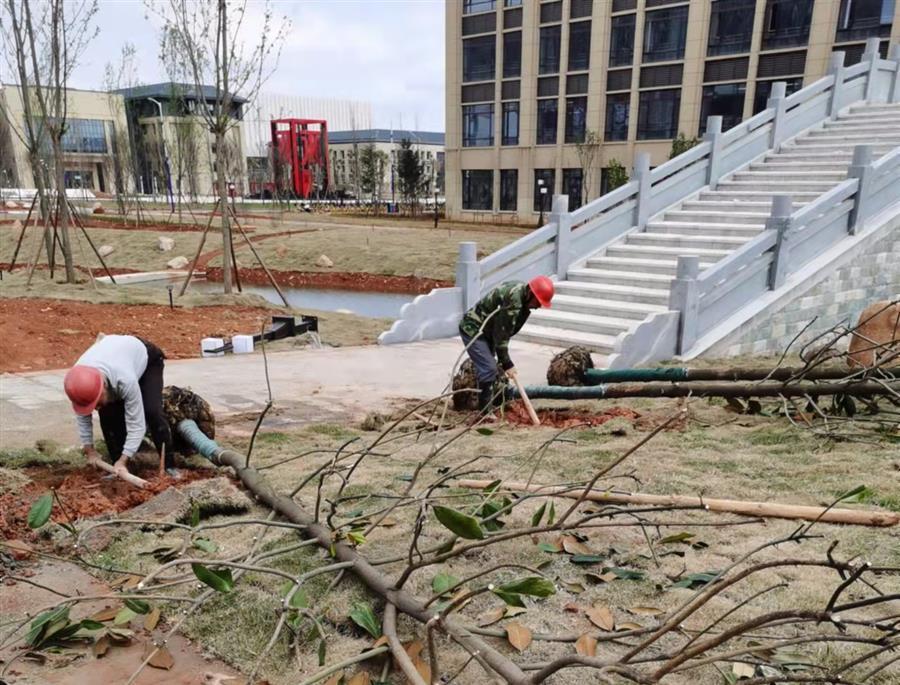 中国·88858cc永利(股份)官方网站