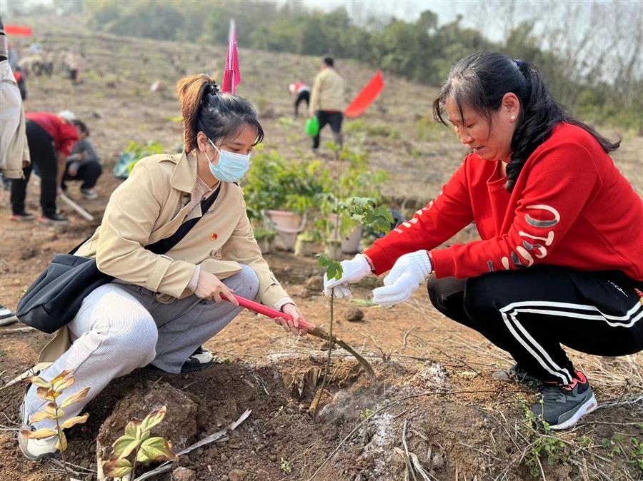 中国·88858cc永利(股份)官方网站