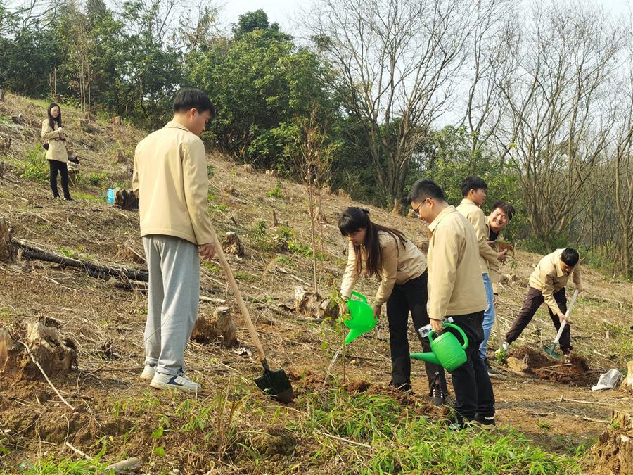 中国·88858cc永利(股份)官方网站
