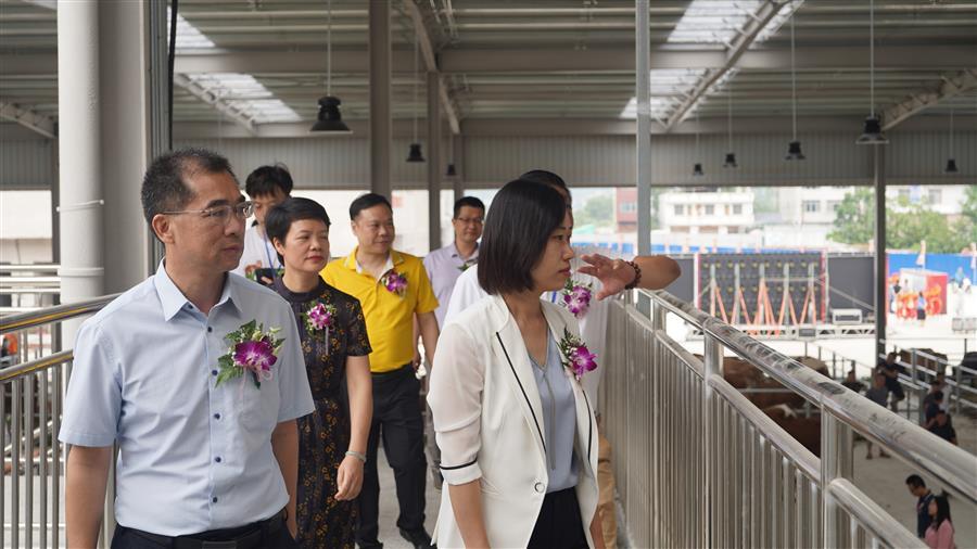 中国·88858cc永利(股份)官方网站