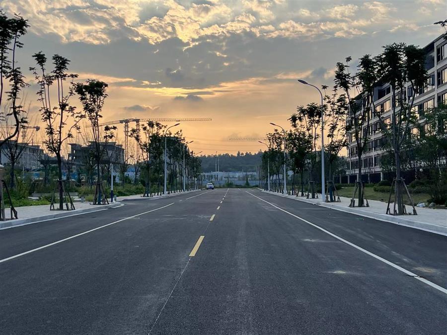 中国·88858cc永利(股份)官方网站
