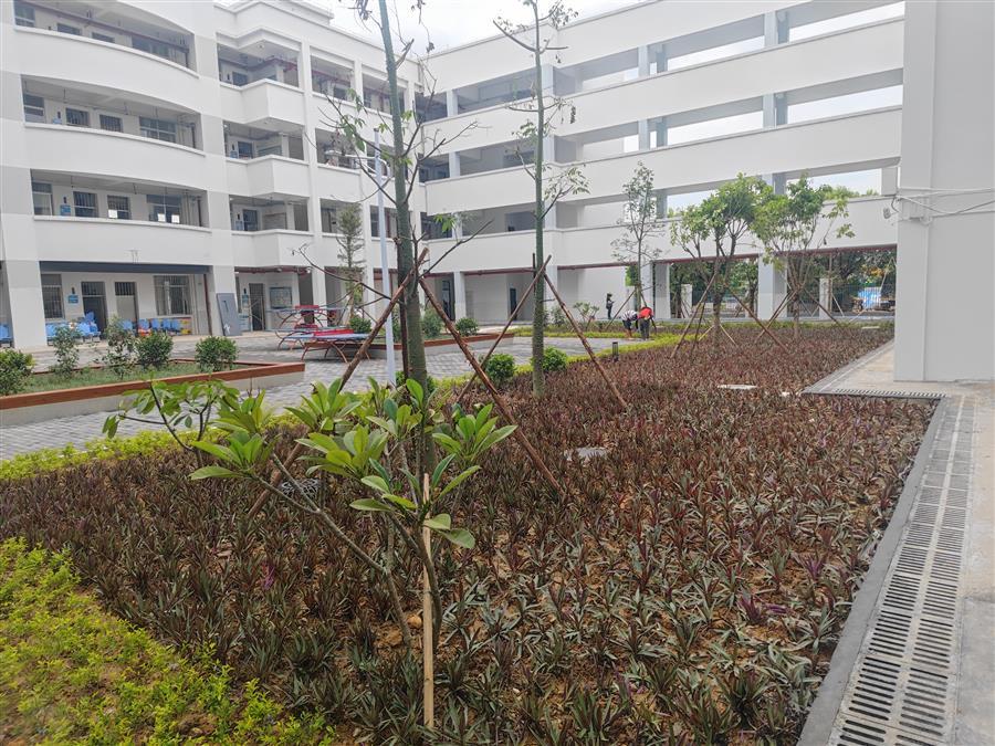 中国·88858cc永利(股份)官方网站