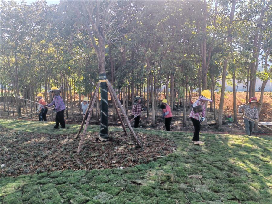 中国·88858cc永利(股份)官方网站