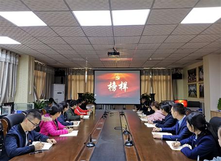 向模范看齐，做及格党员