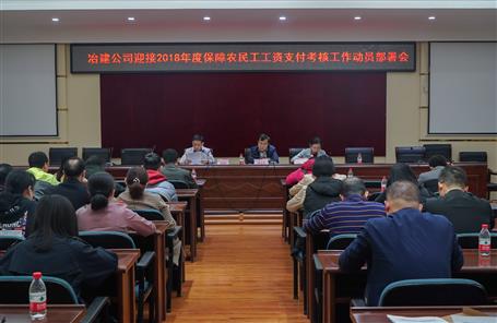 公司召开迎接2018年度包管农民工人为支付审核发动安排会