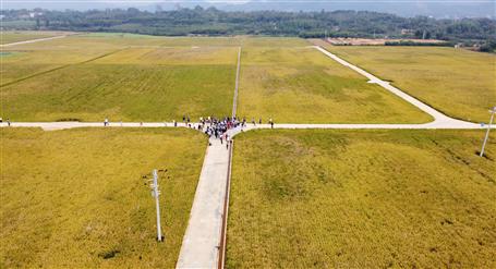 全区500多手艺职员来观摩这个项目