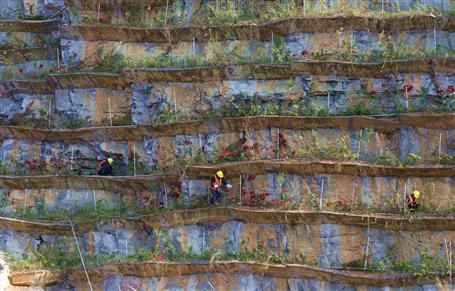 生态修复效果显 楼梯山上披彩妆