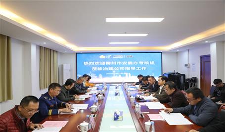 柳州市安委办审核组到公司开展事情审核