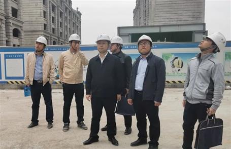 赖海标到桂南分公司项目开展2022年春节后复工复产暨第一季度清静生产质量综合大检