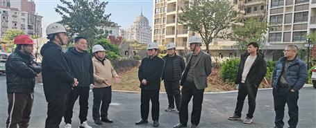 蒙胜益到桂南分公司项目调研指导事情